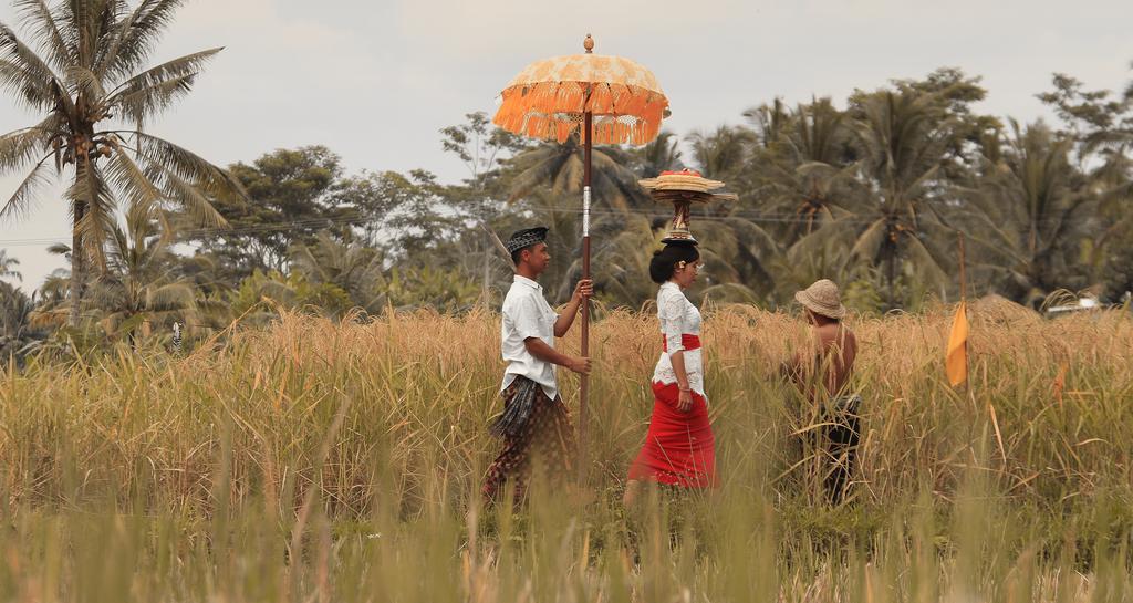 Kishi-Kishi Ubud Villas Eksteriør bilde