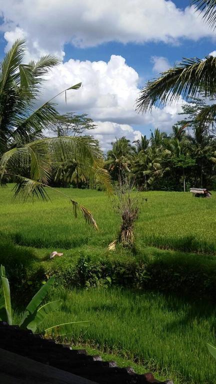 Kishi-Kishi Ubud Villas Eksteriør bilde