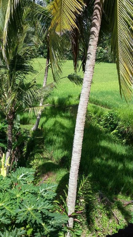 Kishi-Kishi Ubud Villas Eksteriør bilde