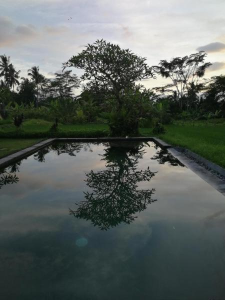 Kishi-Kishi Ubud Villas Eksteriør bilde